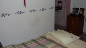 MARIA ALBA GIORDANO Casa En Venta En Guacara - Ciudad Alianza C&oacute;digo FLEX: 10-7006 No.8