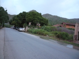 PEDRO ARNAL Terreno  Venta Municipio Arismendi La Asuncion Palo Sano FLEXMLS-10-7109
