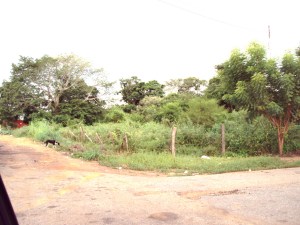 JUSMERI ESPINA Terreno  Venta Carretera Falcón Zulia Km 42 FLEXMLS-10-7237