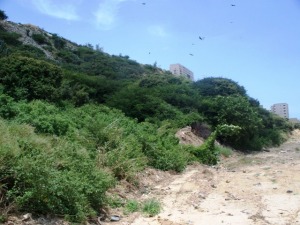 CLAUDIA MARRERO Y MIGUEL SANCHEZ Terreno  Venta Catia La Mar Playa Grande FLEXMLS-10-7248