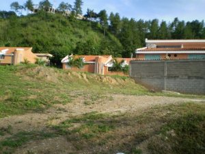EILEEN CASTILLO Terreno  Venta La Victoria Guaracarima FLEXMLS-10-7271
