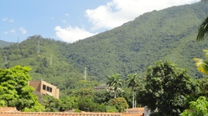 INMOBILIRIA CCCT Casa En Venta En Caracas - Altamira C&oacute;digo FLEX: 10-7557 No.7
