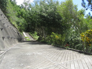 ARIADNA BOUQUETT MORENO Terreno  Venta Caracas Monte Elena FLEXMLS-10-7533