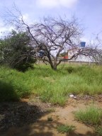 JUSMERI ESPINA Terreno  Venta Maracaibo El Peru - San Francisco FLEXMLS-10-8815