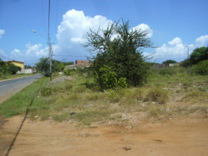 PEDRO ARNAL Terreno  Venta Municipio Antolin del Campo Paraguachi La Mira FLEXMLS-10-8891