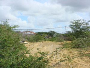 FRANQUICIA MASTER COLOMBIA Terreno Residencial en Venta en Guanadito en Punto Fijo C&oacute;digo: 10-8921 No.1