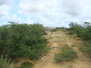 FRANQUICIA MASTER COLOMBIA Terreno Residencial en Venta en Guanadito en Punto Fijo C&oacute;digo: 10-8921 No.5