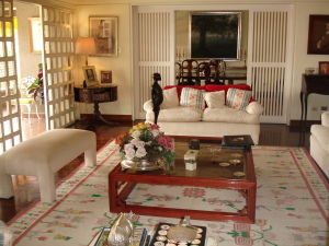 IVANA MASSIMINI Apartamento En Venta En Caracas - Altamira C&oacute;digo FLEX: 10-9248 No.7
