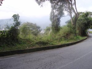 NALLIVE BRICE�O Terreno  Venta Caracas Colinas de Bello Monte FLEXMLS-10-9287