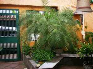 GICELA MORA Casa En Venta En Guatire - El Castillejo C&oacute;digo FLEX: 10-9310 No.3