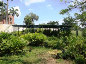 PATRICIA COLINA V-09752084-0 Terreno Residencial En Venta En Valencia - Guataparo C&oacute;digo FLEX: 10-9416 No.4