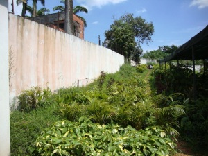 PATRICIA COLINA V-09752084-0 Terreno Residencial En Venta En Valencia - Guataparo C&oacute;digo FLEX: 10-9416 No.5