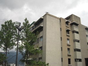 Apartamento / Venta / Caracas / Colinas de Bello Monte / FLEXMLS-10-9424