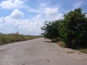 Zulay Elisa Gonzalez Manrique Terreno  Venta Valencia Zona Industrial El Recreo FLEXMLS-10-9693