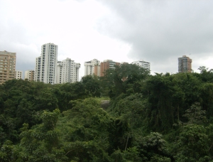 LIGIA HENRIQUEZ Apartamento En Venta En Valencia - El Bosque C&oacute;digo FLEX: 10-9881 No.8