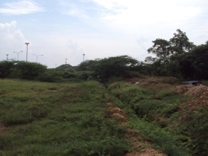 NELSON CASTELLANO CALDERA Terreno  Venta Maracaibo El Milagro FLEXMLS-11-27