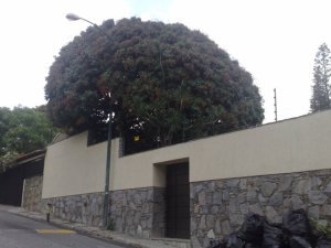 Anais Rodriguez Casa Venta Caracas Prados del Este FLEXMLS-11-329
