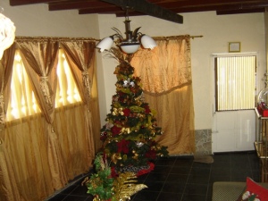 FRANQUICIA REGIONAL CENTRAL Casa en Venta en Las Delicias en Maracay C&oacute;digo: 11-345 No.5