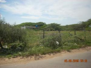 Terreno Comercial / Venta / Punto Fijo / Santa Elena / FLEXMLS-10-10019