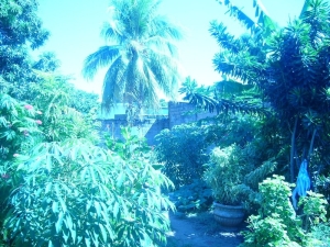 JUSMERI ESPINA Casa En Venta En Maracaibo - La Limpia C&oacute;digo FLEX: 11-954 No.7