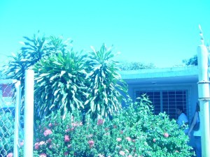 JUSMERI ESPINA Casa En Venta En Maracaibo - La Limpia C&oacute;digo FLEX: 11-954 No.1