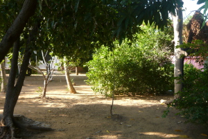 JUSMERI ESPINA Casa En Venta En Maracaibo - San Francisco C&oacute;digo FLEX: 11-1001 No.4