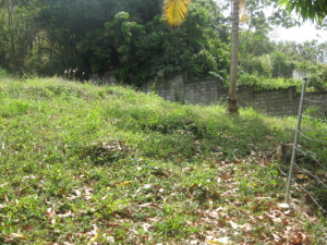 IGNATHELL RAMIREZ Terreno Residencial En Venta En Maracay - El Limon C&oacute;digo FLEX: 11-1098 No.5