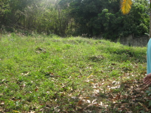 IGNATHELL RAMIREZ Terreno Residencial En Venta En Maracay - El Limon C&oacute;digo FLEX: 11-1098 No.6