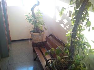 JORGE MENDOZA A. Apartamento Venta Barquisimeto Parroquia Santa Rosa FLEXMLS-11-1133