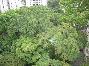 ARIADNA BOUQUETT MORENO Apartamento Venta Caracas El Bosque FLEXMLS-11-1431