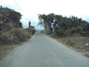 EILEEN CASTILLO Terreno  Venta Santa Cruz de Aragua Zona Industrial San Crispin FLEXMLS-11-1555