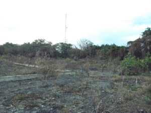 EILEEN CASTILLO Terreno Industrial En Venta En Santa Cruz de Aragua - Zona Industrial San Crispin Código FLEX: 11-1555 No.2
