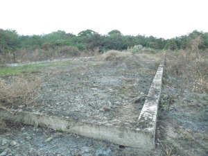 EILEEN CASTILLO Terreno Industrial En Venta En Santa Cruz de Aragua - Zona Industrial San Crispin Código FLEX: 11-1555 No.3