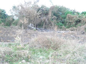 EILEEN CASTILLO Terreno Industrial En Venta En Santa Cruz de Aragua - Zona Industrial San Crispin Código FLEX: 11-1555 No.5