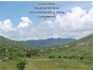 PEDRO ARNAL Terreno  Venta Municipio Antolin del Campo Paraguachi Guarame FLEXMLS-11-1633