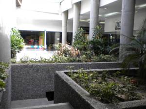 Anais Rodriguez Local Comercial Venta Caracas El Rosal FLEXMLS-11-1651