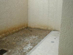 FRANQUICIA REGIONAL CENTRAL Townhouse en Venta en Naguanagua en Valencia Código: 11-1665 No.9