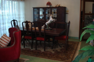 CARMI�A & ASOCIADOS Casa En Venta En Maracaibo - Juana de Avila C&oacute;digo FLEX: 11-1878 No.8