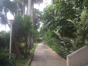 ARIADNA BOUQUETT MORENO Apartamento Venta Caracas Las Mesetas de Santa Rosa de Lima FLEXMLS-11-1957
