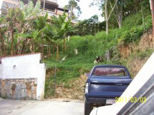 ARIADNA BOUQUETT MORENO Terreno  Venta Caracas La Union FLEXMLS-11-1992