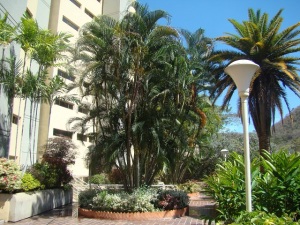 Estela Beatriz P�rez Rivas Apartamento En Venta En Valencia - Piedra Pintada C&oacute;digo FLEX: 11-2047 No.7