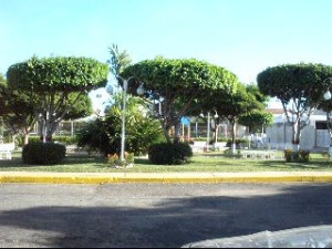 JUSMERI ESPINA Casa Venta Maracaibo Monte Claro FLEXMLS-11-2426