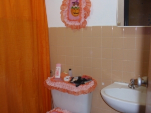 FRANQUICIA REGIONAL CENTRAL Casa en Venta en Las Delicias en Maracay Código: 11-2809 No.7
