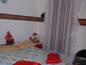 FRANQUICIA REGIONAL CENTRAL Casa en Venta en Las Delicias en Maracay Código: 11-2809 No.8
