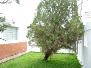 EILEEN CASTILLO Casa En Venta En Maracay - Barrio Sucre Código FLEX: 11-2976 No.4