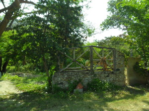 EILEEN CASTILLO Terreno  Venta Choroni Calle Principal FLEXMLS-11-3175