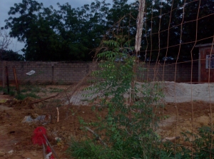 MASTER INTERNATIONAL Terreno Residencial en Venta en La Victoria en Maracaibo C&oacute;digo: 11-3215 No.4