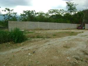 PATRICIA COLINA V-09752084-0 Terreno Comercial En Venta En Valencia - Guataparo C&oacute;digo FLEX: 11-3261 No.5