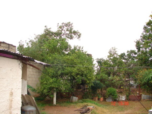EILEEN CASTILLO Terreno  Venta La Victoria Centro FLEXMLS-11-3397