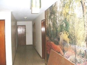 MARIEDOS DAVALILLO Terreno Comercial En Venta En Maracaibo - Avenida Delicias Norte C&oacute;digo FLEX: 11-3635 No.4